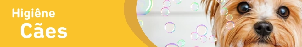 Banner Categoria